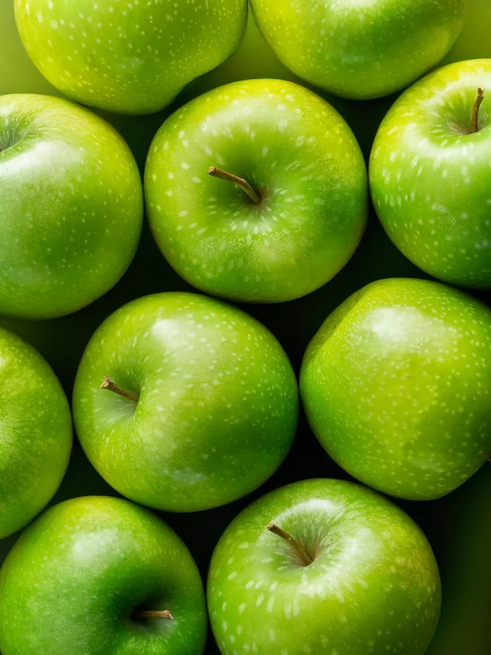 orchard